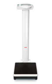 Säulenwaage Seca 799 mit BMI Funktion
